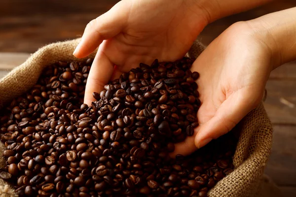 Manos en saco con granos de café tostados —  Fotos de Stock