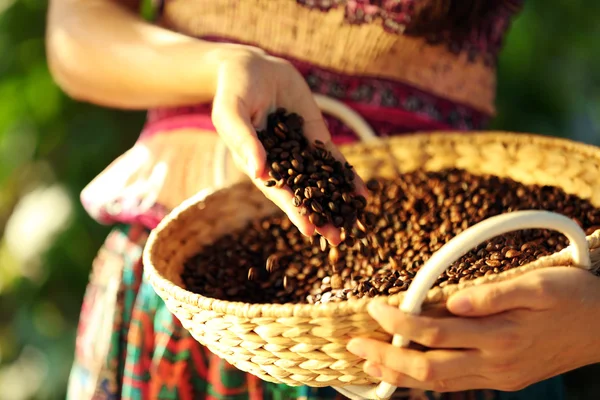 Жіноча рука торкається кавових зерен — стокове фото