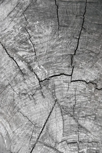 Dřevěná konstrukce o kmen stromu — Stock fotografie
