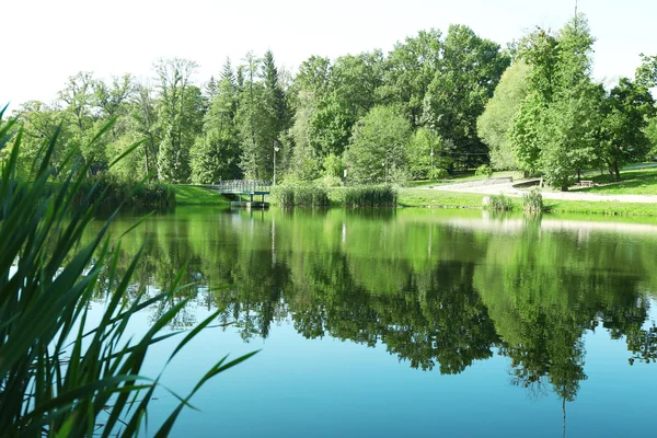 Lago no parque Feofania — Fotografia de Stock