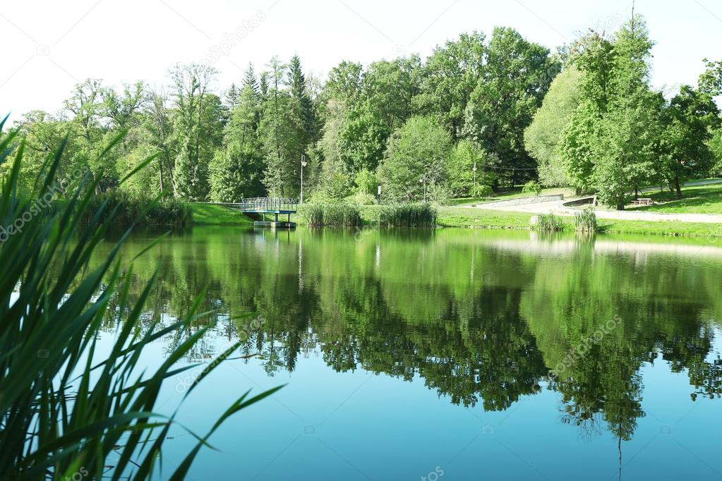 Lake in park Feofania