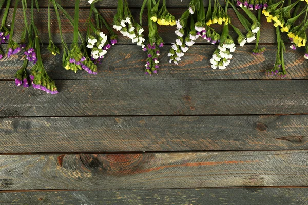 Vackra vilda blommor — Stockfoto