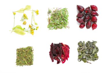 Bitkisel çay ve otlar üzerinde beyaz izole çeşitli
