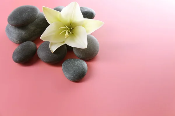 Spa stenen met bloem — Stockfoto