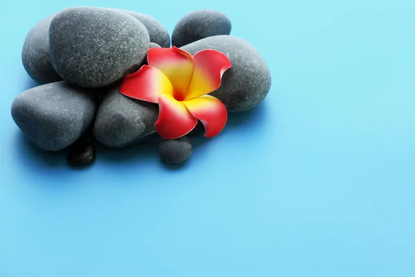 Spa stones with flower — Stock Photo, Image