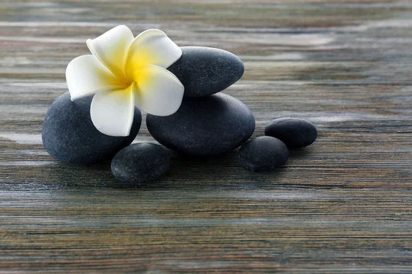 Spa stones with flower — Stock Photo, Image