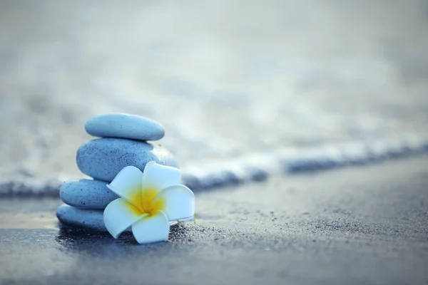Piedras de spa con flor — Foto de Stock