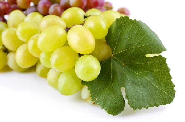 Ramas de uva roja blanca aisladas sobre fondo blanco, de cerca — Foto de Stock
