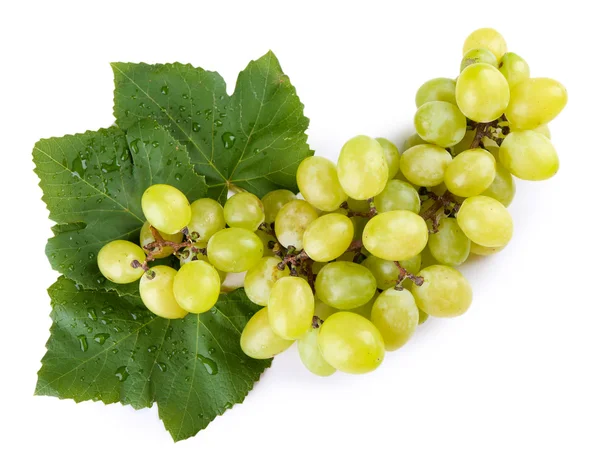 Uva jugosa con hoja aislada sobre blanco —  Fotos de Stock