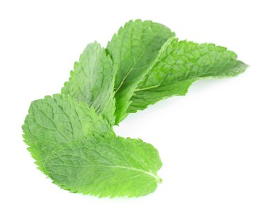 Güzel kokulu nane yaprakları