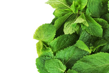 Taze nane yığını