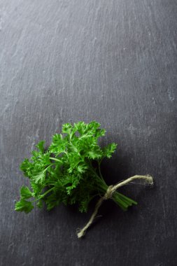 Koyu gri arka plan üzerinde taze maydanoz