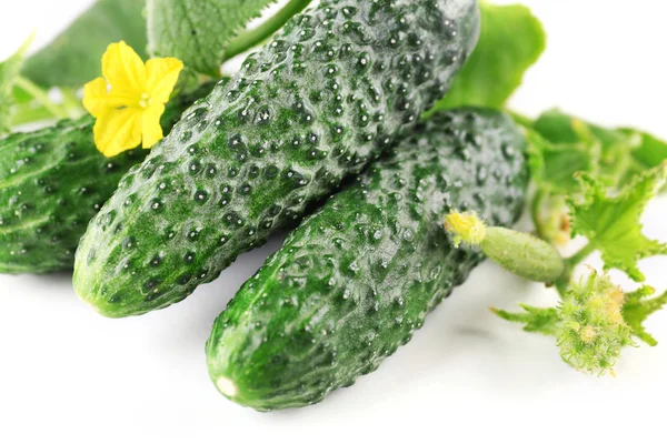 Fresh cucumbers with leafs on white background, close up — Stock Photo, Image