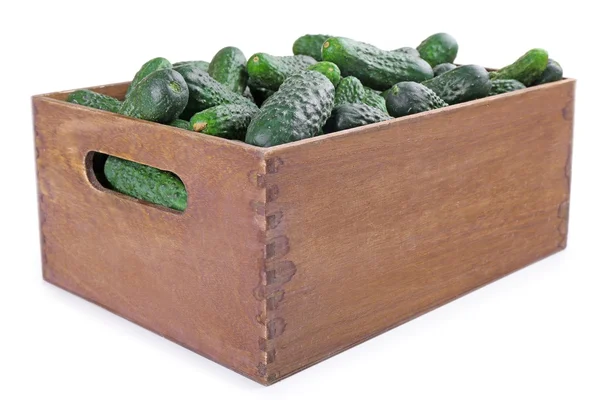 Rijp komkommers in houten kist — Stockfoto
