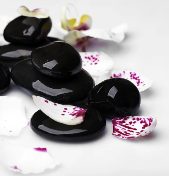 Orchid and zen stones — Stock Photo, Image