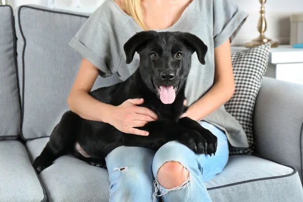 Black retriever with young woman — Stock Photo, Image