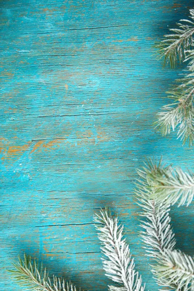 Kerstboom met vorst — Stockfoto