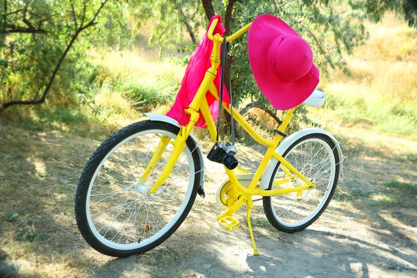 Bicicleta velha com câmera — Fotografia de Stock