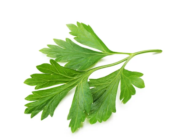 Fresh parsley isolated on white — Stock Photo, Image