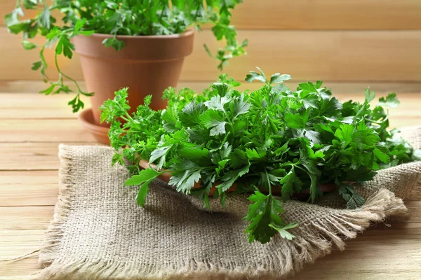 Fresh green parsley — Stock Photo, Image