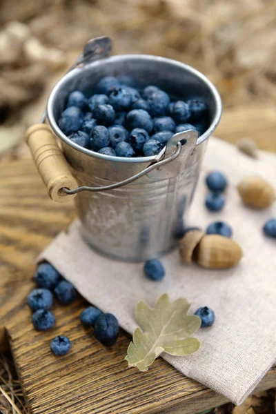 Bucket of ripe blueberries — Stock Photo, Image