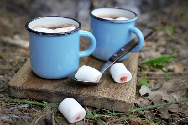 Kakao mit Eibisch im Becher — Stockfoto