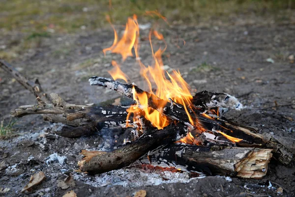 Bränna lägereld i trä — Stockfoto