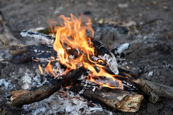 Kampvuur branden in hout — Stockfoto