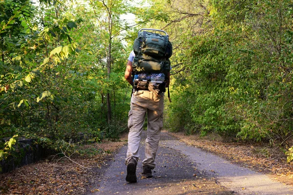 Touriste Sur Sentier Dans Forêt — Photo