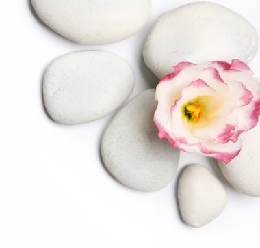 Beyaz arkaplanda spa taşları ve çiçek