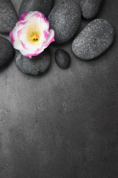 Piedras de spa y flor sobre fondo negro —  Fotos de Stock