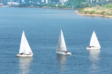 Yelkenli Yatlar