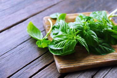 Yeşil taze fesleğen