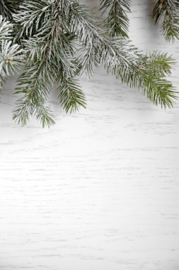 Frost ile Noel ağacı 