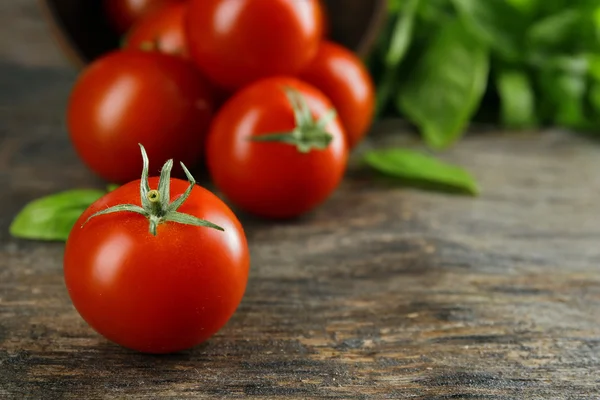 Tomates Cherry con Albahaca — Foto de Stock