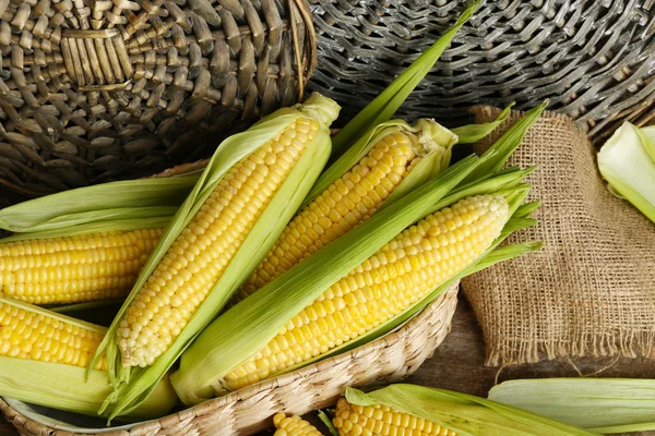 Fresh corn on cobs in wicker basket, closeup — Stock Photo, Image