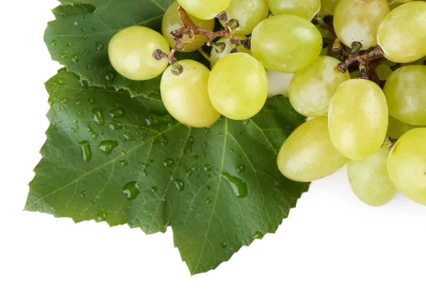 Raisin juteux avec feuille isolée sur blanc, gros plan — Photo