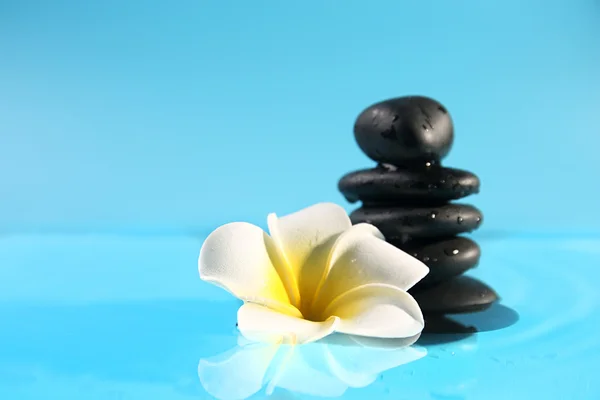 Plumeria and pebbles on water — Stock Photo, Image