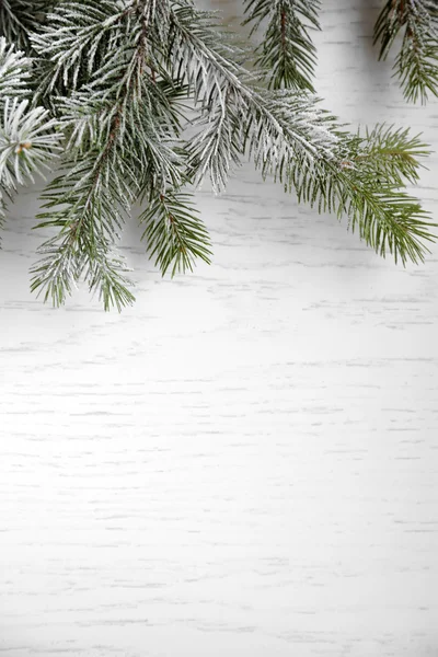 Christmas tree with frost — Stock Photo, Image