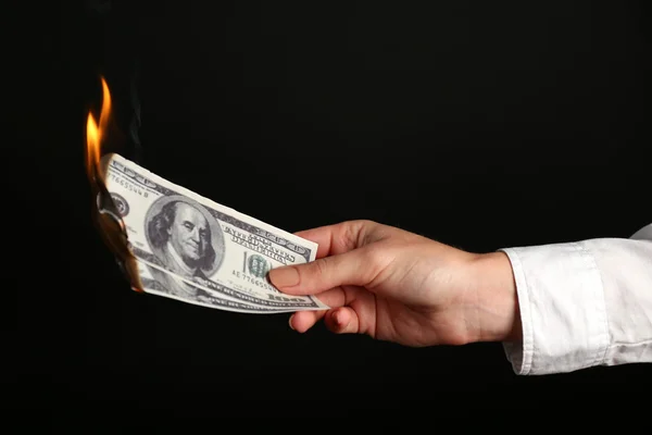 Woman burning dollars Stock Image