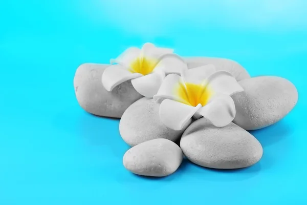 Spa stenen en bloemen op blauwe achtergrond — Stockfoto