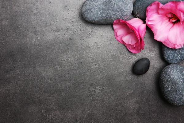 Kamienie i kwiaty spa — Zdjęcie stockowe