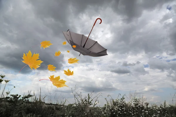 Parapluie et feuilles d'automne volant — Photo