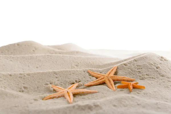 Starfishes on sea sand — Stock Photo, Image
