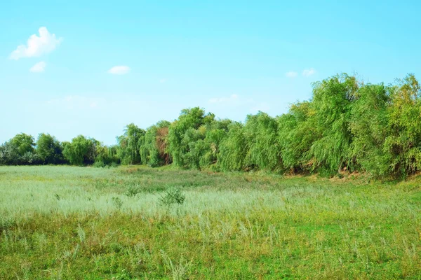 Beautiful countryside landscape — Stock Photo, Image