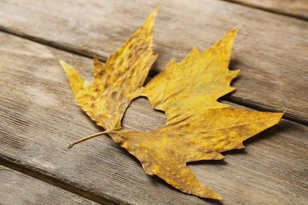 Folha de outono seca com coração recortado — Fotografia de Stock