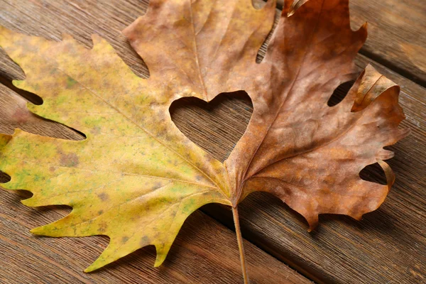 Feuille d'automne séchée avec coeur découpé — Photo