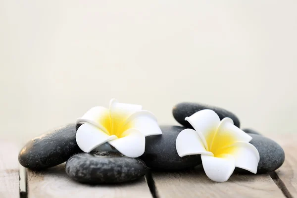 Çakıl taşları ve fragipani çiçek — Stok fotoğraf