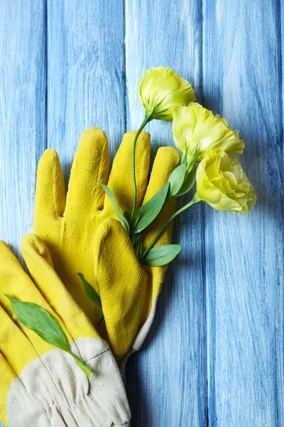 Gele tuin handschoenen en bloemen — Stockfoto