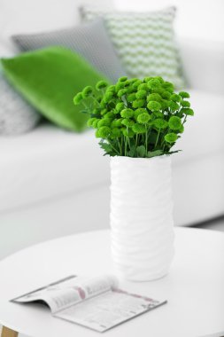 Güzel yeşil krizantem